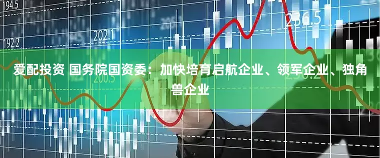 爱配投资 国务院国资委：加快培育启航企业、领军企业、独角兽企业
