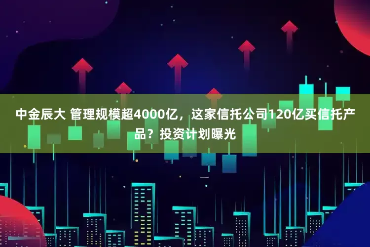 中金辰大 管理规模超4000亿，这家信托公司120亿买信托产品？投资计划曝光