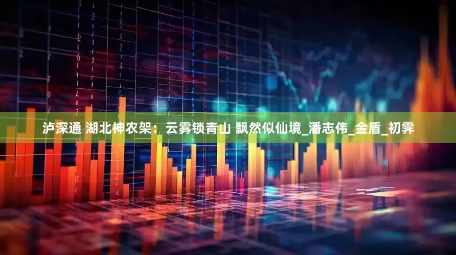 泸深通 湖北神农架：云雾锁青山 飘然似仙境_潘志伟_金盾_初霁