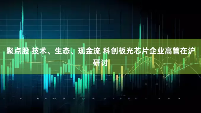 聚点股 技术、生态、现金流 科创板光芯片企业高管在沪研讨