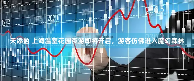 天添盈 上海温室花园夜游即将开启，游客仿佛进入魔幻森林