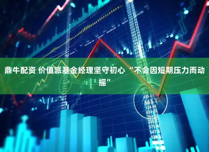 鼎牛配资 价值派基金经理坚守初心 “不会因短期压力而动摇”
